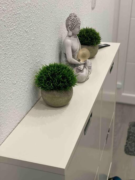 Ferienwohnung Miramar V Torrevieja Exteriér fotografie