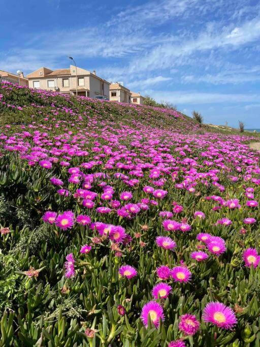 Ferienwohnung Miramar V Torrevieja Exteriér fotografie