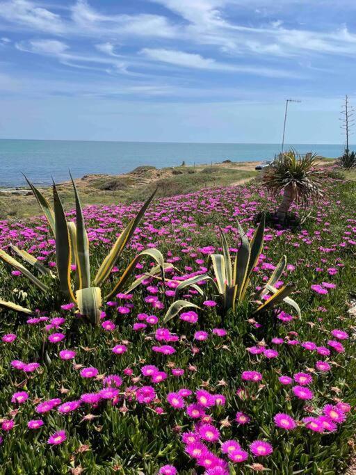 Ferienwohnung Miramar V Torrevieja Exteriér fotografie