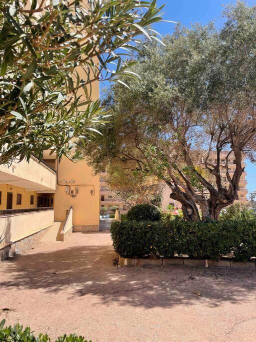 Ferienwohnung Miramar V Torrevieja Exteriér fotografie